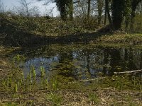 NL, Limburg, Weert, Roukespeel 3, Saxifraga-Jan van der Straaten